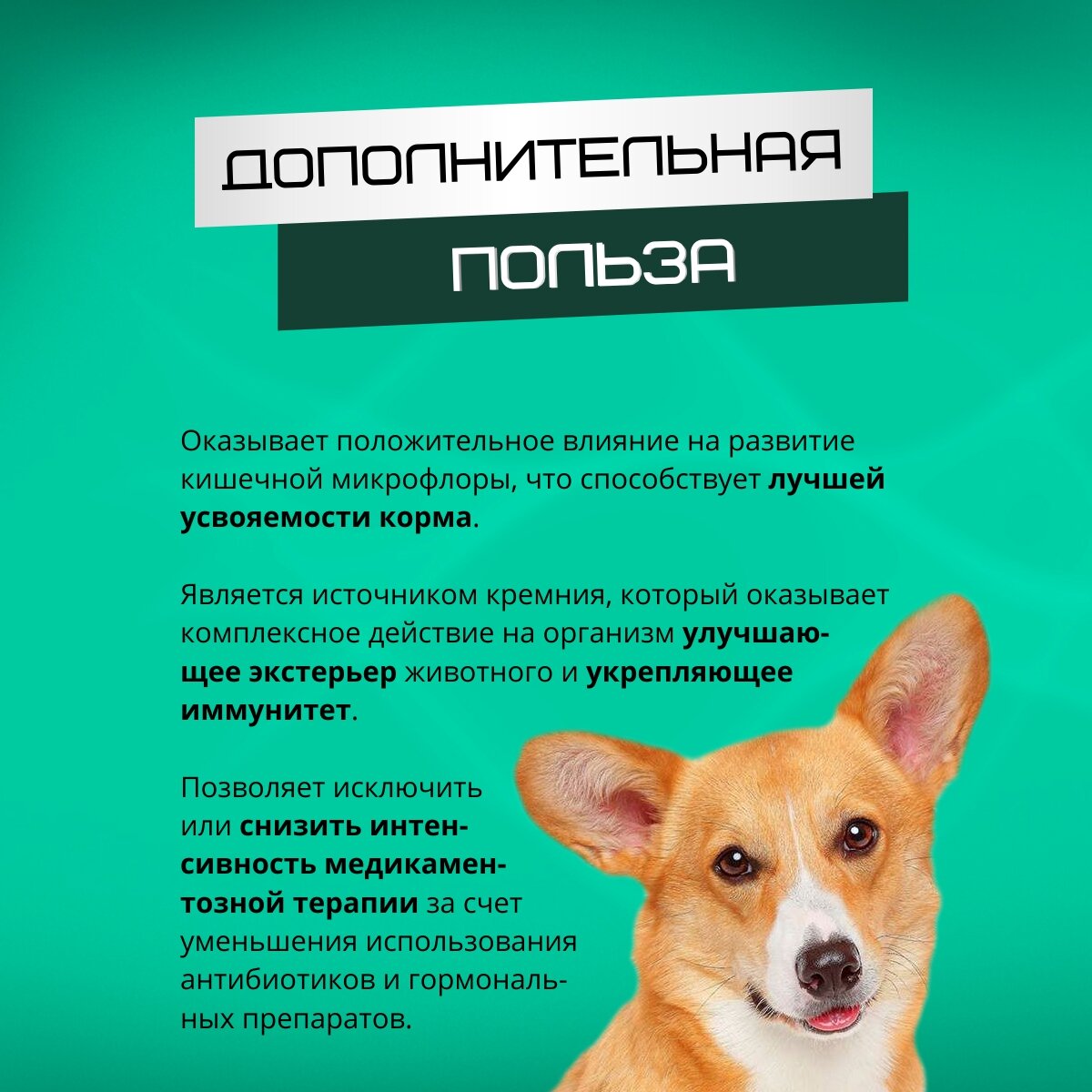 Изображение Сорбент для домашних животных Ковелос Вита (10 саше)