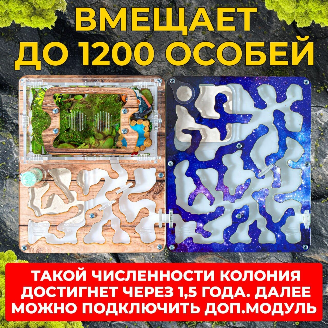 Муравьиная ферма "Древесная" ВСЕ включено Стандарт / Формикарий для муравьев — фото 1