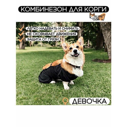Комбинезон для корги девочки Fluffy Clan