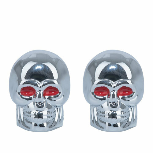 фото Крепление для покрышек oxford skull valve silver