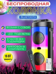 Портативная колонка BT Speaker ZQS-4248 с микрофоном, радио, светомузыкой и Bluetooth