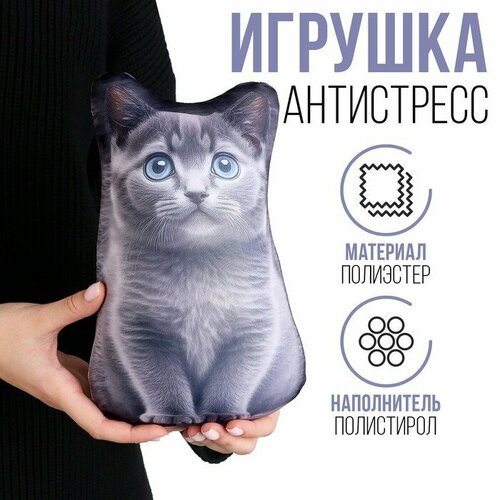 значок антистресс котик Антистресс игрушка «Котик Русский Голубой»