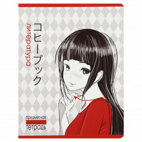 Полотняный завод Тетрадь предметная, Литература, 48 листов, линия 