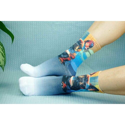 фото Носки , размер 36/41, серый, голубой, белый, коричневый хлопковые cotton print