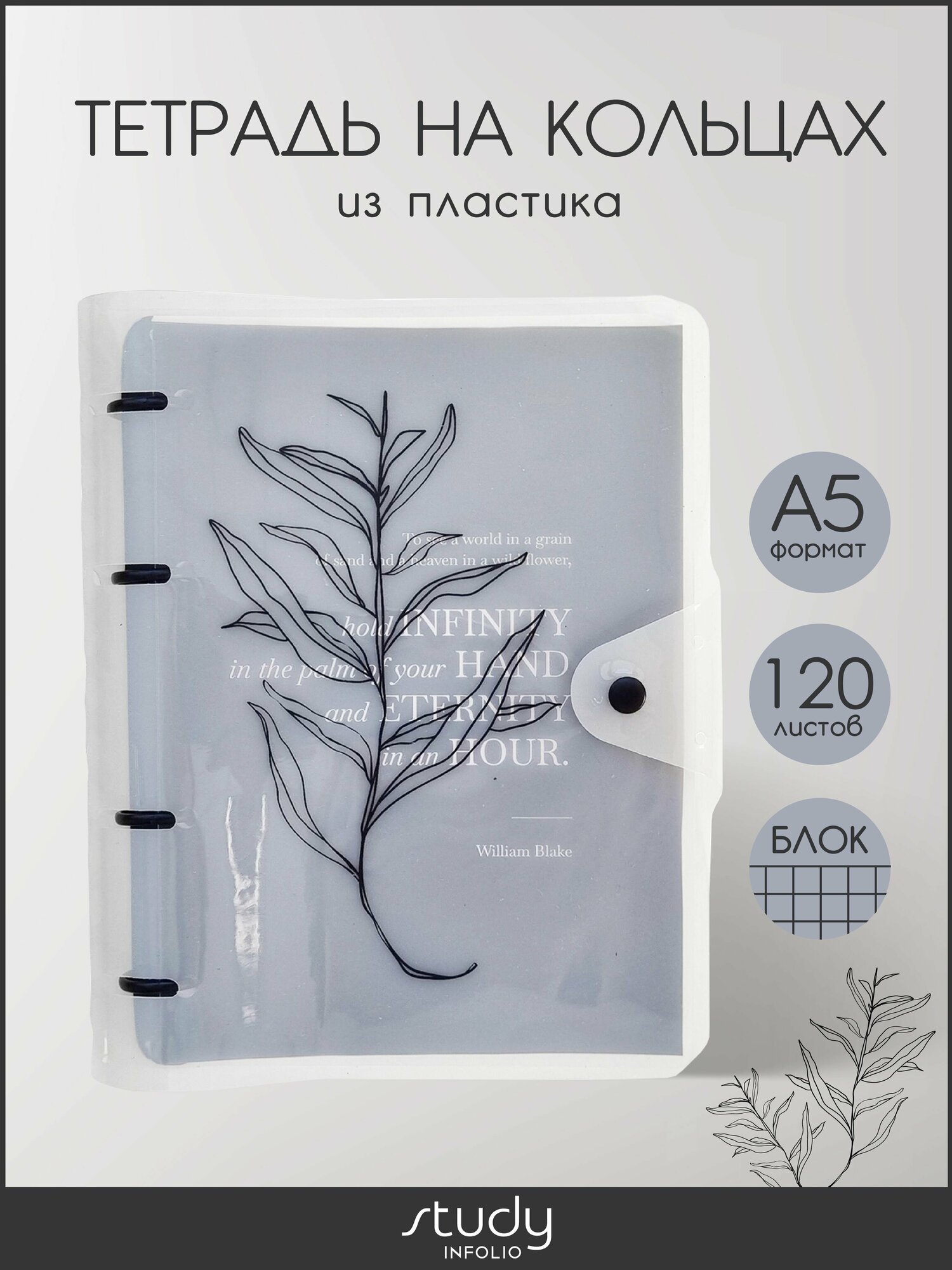 Тетрадь на кольцах общая Infolio Study "Poetry", А5 на 120 листов в клетку, мягкая обложка из пластика