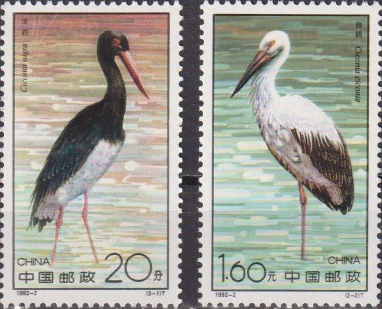 Почтовые марки Китай 1992г. "Аисты" Аисты Птицы MNH