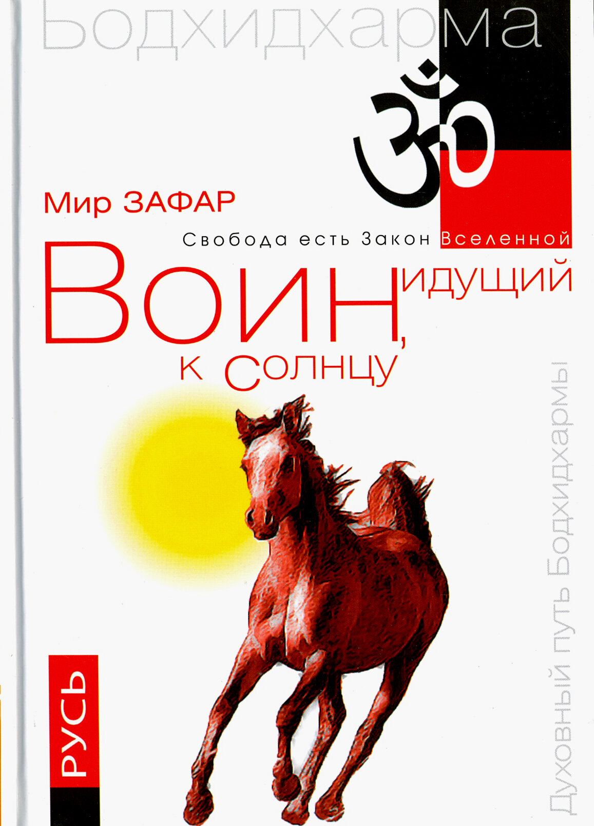 Воин, идущий к Солнцу. Русь. Реки и горы Бодхидхармы. Книга III."Солнце ариев" - фото №3