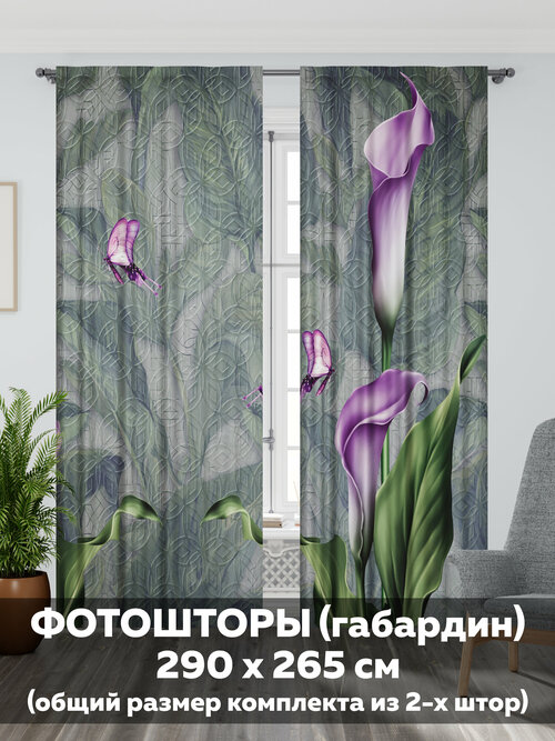 Фотоштора интерьерная для дома с печатью/77335/Mollyn Home/в комнату, в гостиную, в зал, в спальню