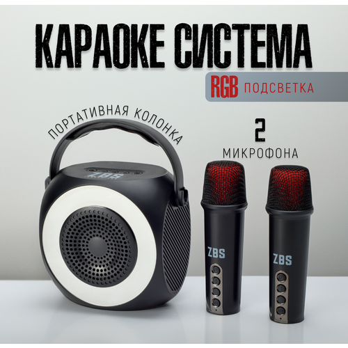 Портативное караоке с двумя микрофонами 2931₽