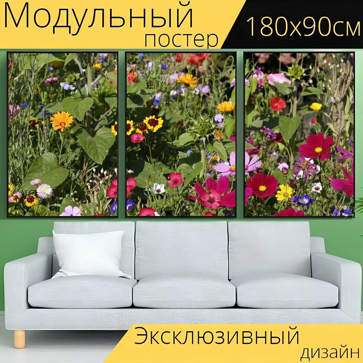 Модульный постер "Цветок, луговые цветы, цветочный луг" 180 x 90 см. для интерьера