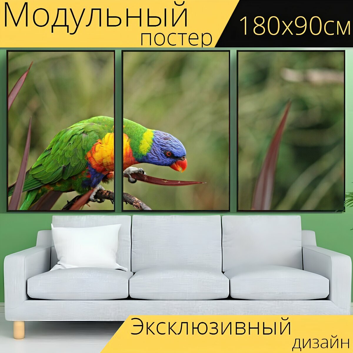Модульный постер "Попугай птица мускусный лорикет" 180 x 90 см. для интерьера