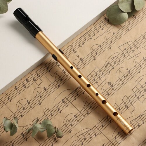 Флейта Music Life D золотая, профи, 30 см ирландский свисток флейта c d ключ ирландия флейта олово пенни свисток 6 флейта с отверстиями музыкальный инструмент