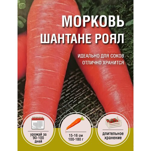 Морковь Шантане Роял (1 пакет по 2гр) морковь шантане 2 пакета по 2гр