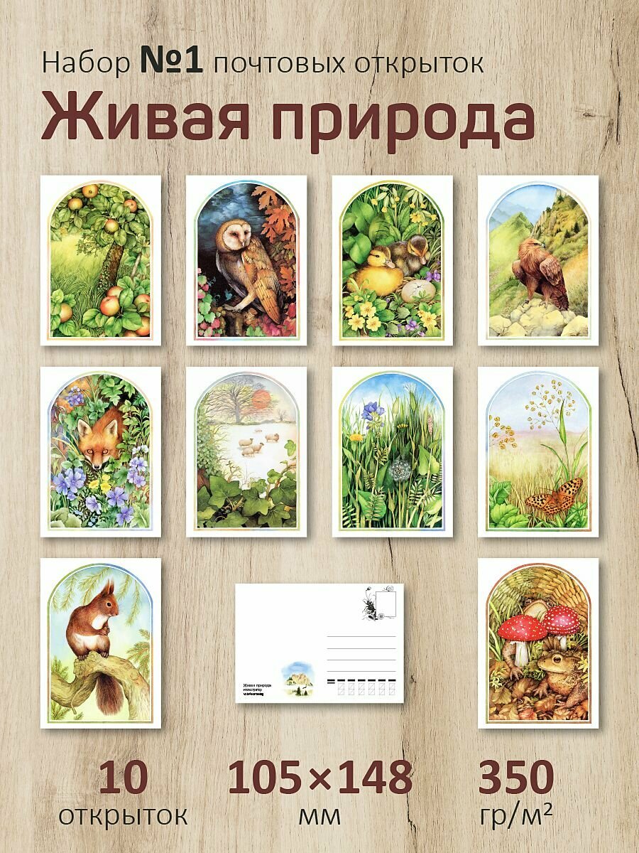 Набор почтовых открыток "Живая природа №1"