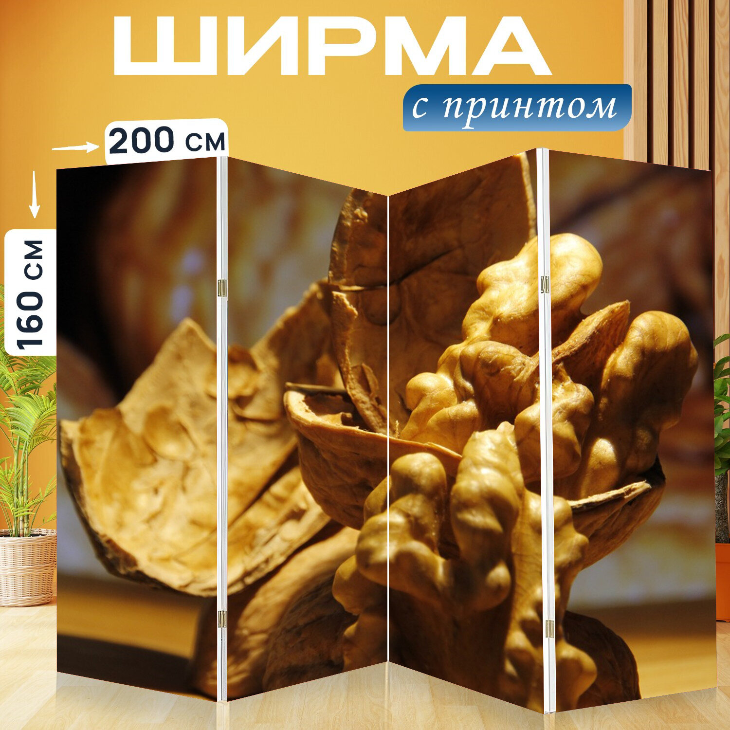Ширма перегородка с принтом "Орех, грецкий орех, еда" на холсте - 200x160 см. для зонирования, раскладная