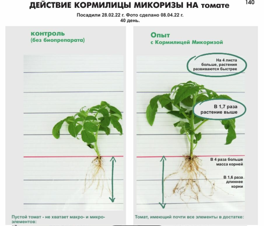 Кормилица Микориза 1л. Х 3шт. Стимулятор роста корней, питание и защита растений. - фотография № 5