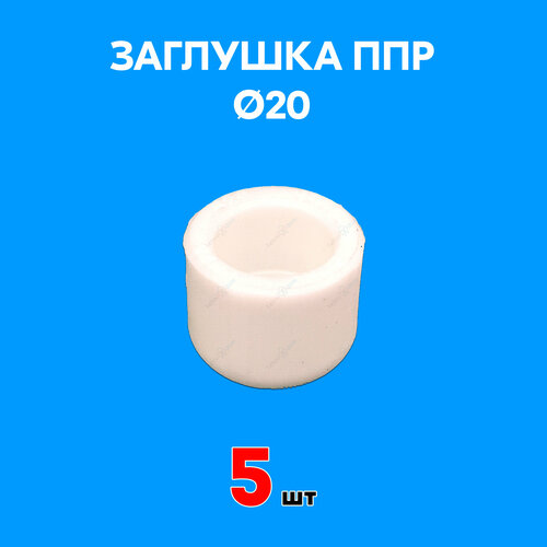 Заглушка полипропиленовая 20 (5 шт)