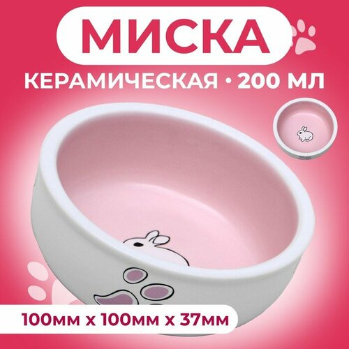 Миска керамическая для кроликов 200 мл 10 х 3,7 см, бело-розовая ​миска стальная для кошки flamingo ​nell 250 мл 10 7 см розовая
