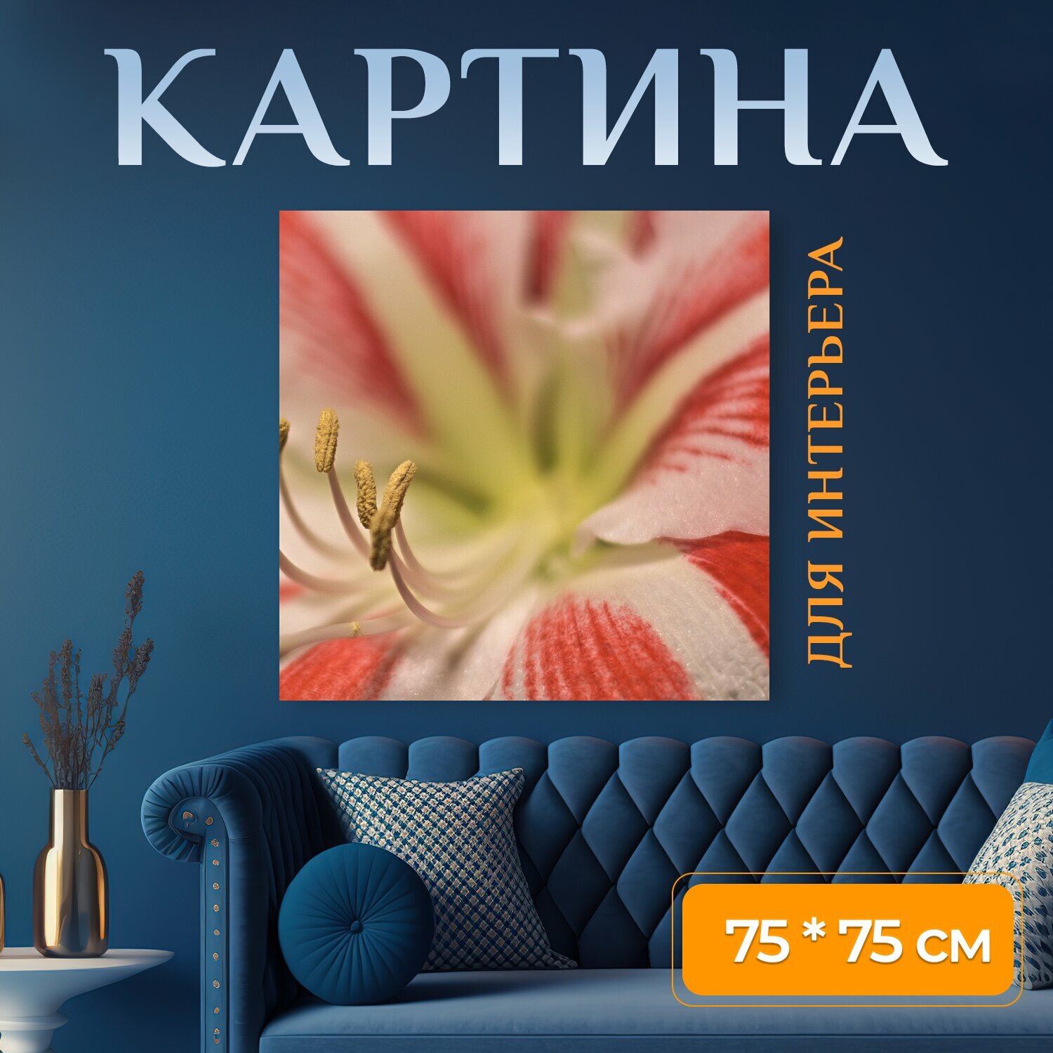 Картина на холсте "Амариллис цветок тычинки" на подрамнике 75х75 см. для интерьера