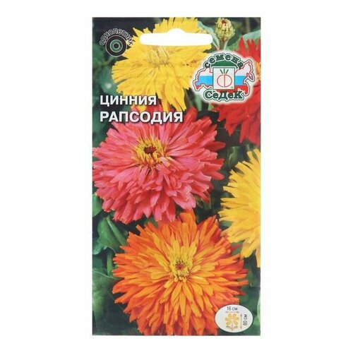 Семена цветов Цинния Рапсодия, ( 1 упаковка ) саженцы срезочной хризантемы микс цветов набор 24 укорененных черенка