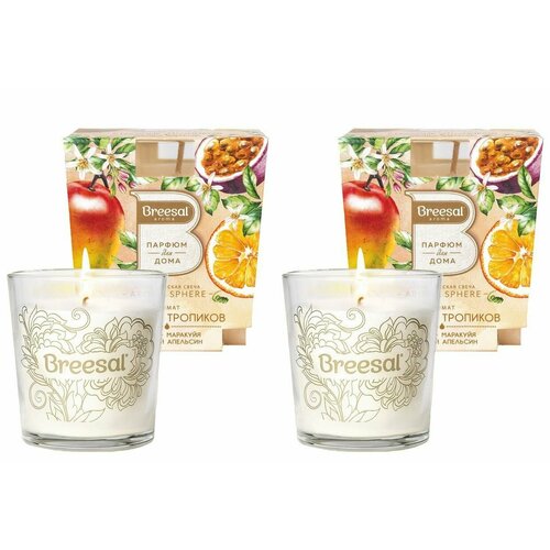 Breesal Свеча ароматическая интерьерная Aroma Sphere Дыхание тропиков 2 штуки 1819₽