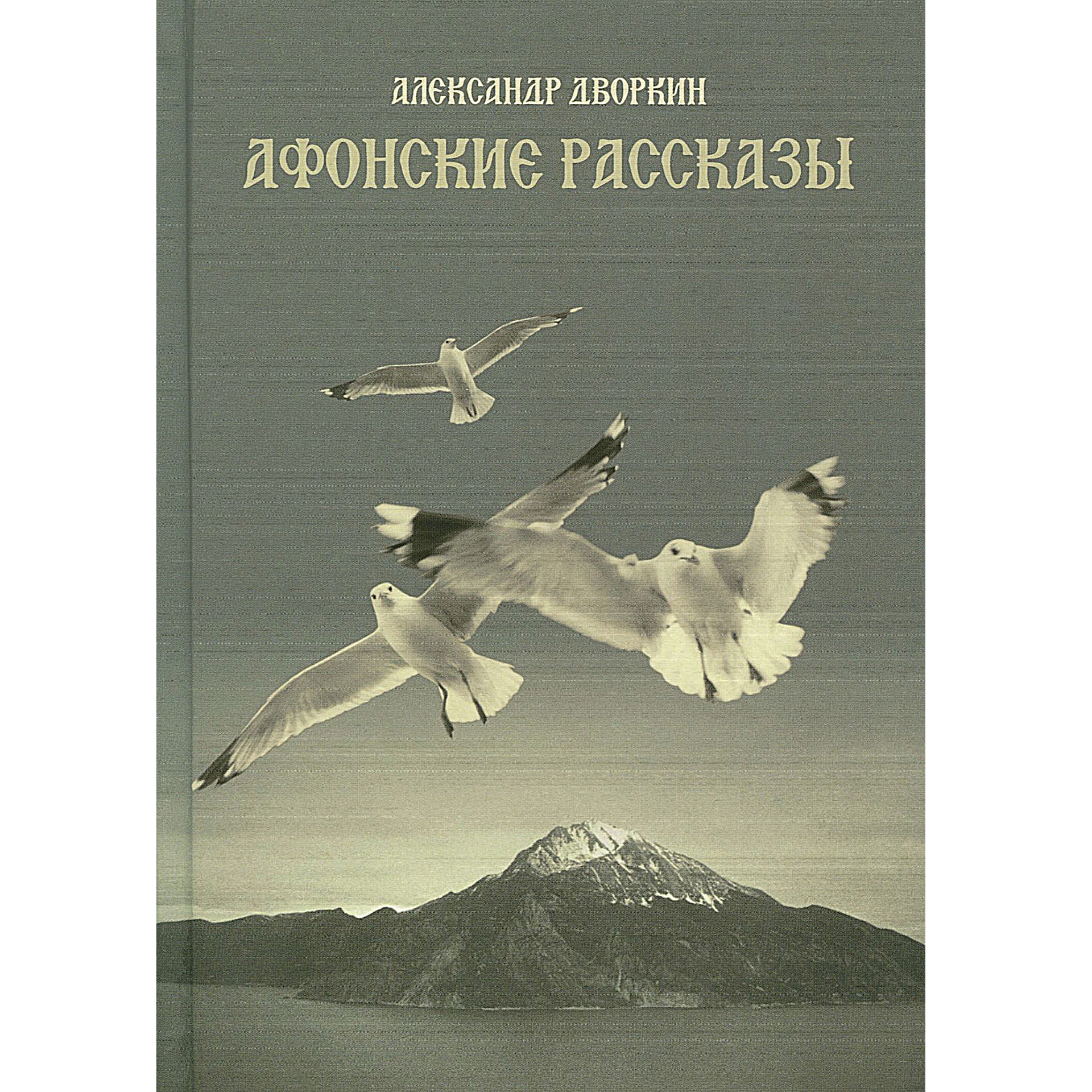 Афонские рассказы (Дворкин Александр Леонидович) - фото №16