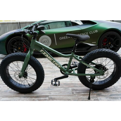 Велосипед фэтбайк Fatbike Time Try TT2157s 20 Алюминиевая рама 12 зеленый 26500₽