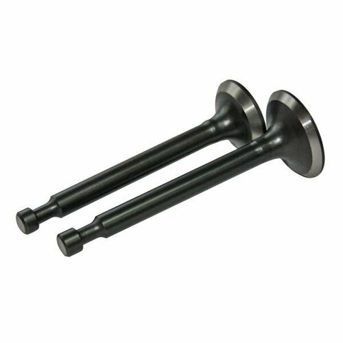 Клапан входа + выхода бензинового двигателя GX270