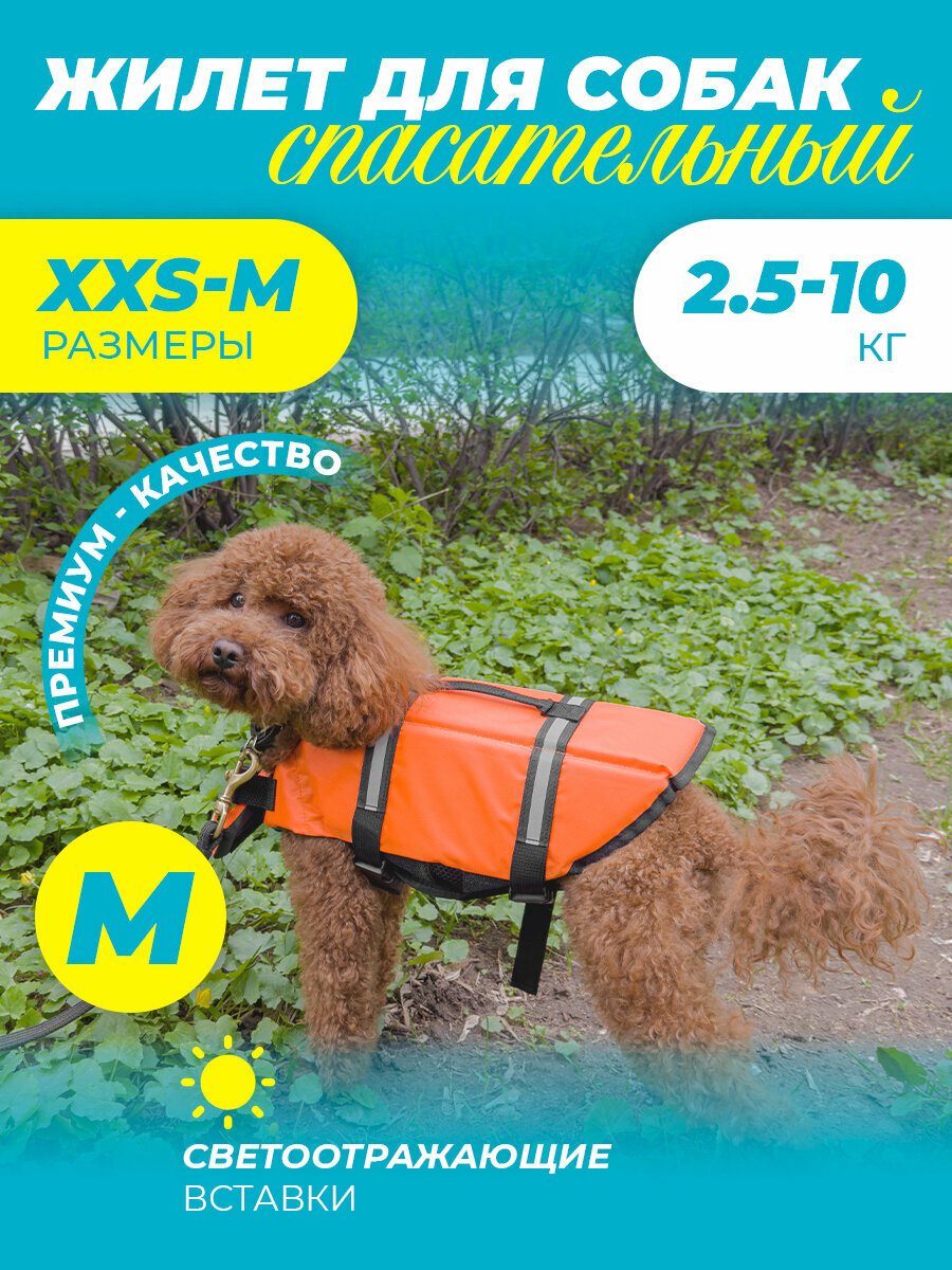 Спасательный жилет для собак