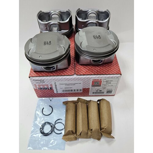 Поршни с кольцами std F14D4 Imale