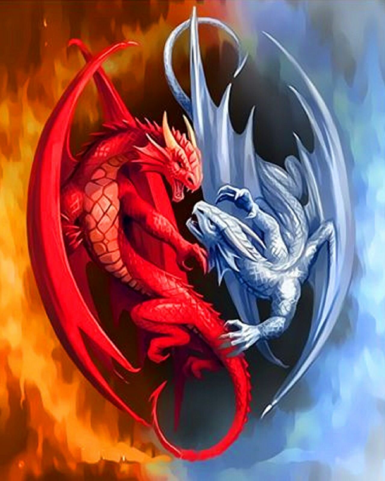 Картина по номерам на холсте с подрамником, живопись (размер 40х50 см) Два дракона