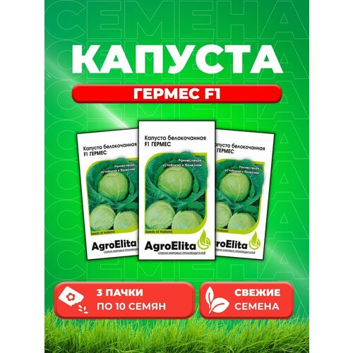 Капуста белокочанная Гермес F1, 10шт, Seminis(3уп)