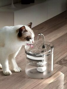 Основная фотография от вендора