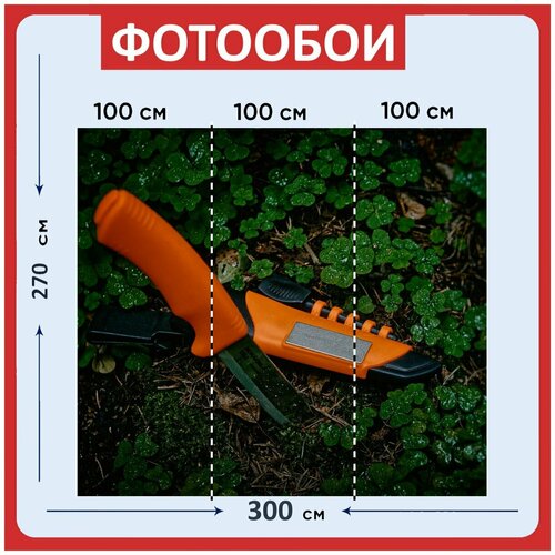 Фотообои Нож природа оранжевый 300x270 см флизелиновыена стену 3940₽
