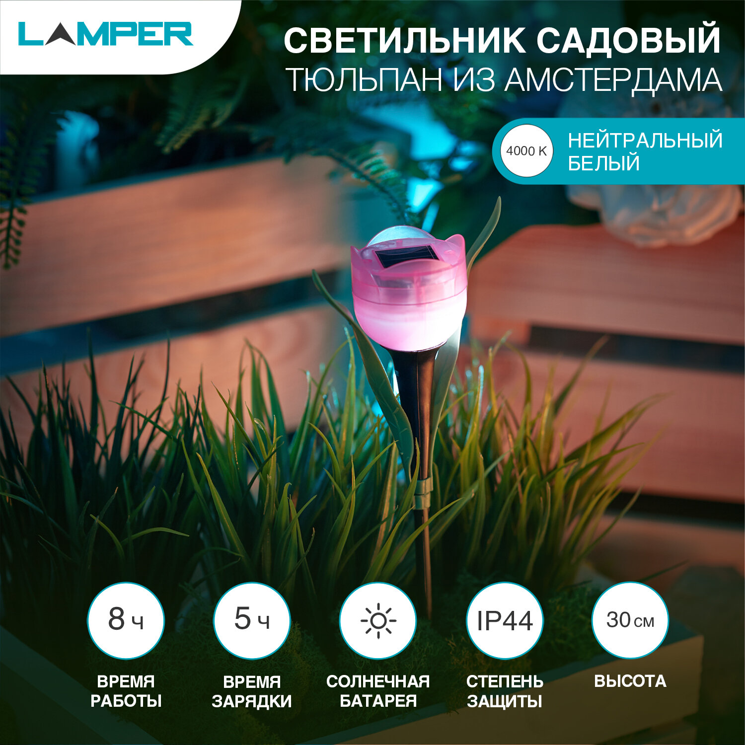 фото Светильник-фонарь LED садовый LAMPER Тюльпан из Амстердама на солнечной батарее 50х310 мм, холодное белое саечение