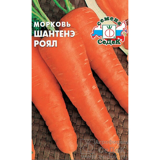 Семена моркови СеДеК 