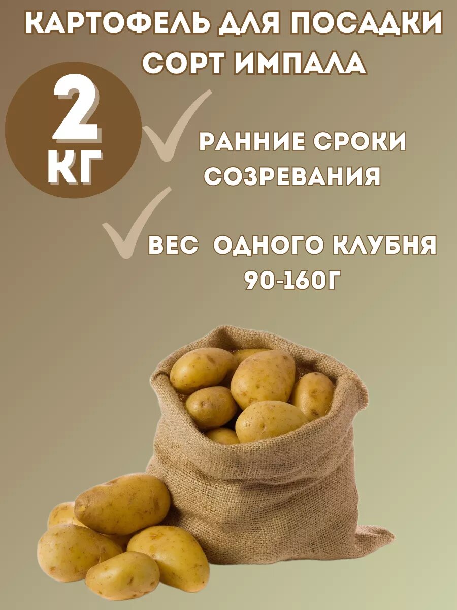 Картофель семенной 