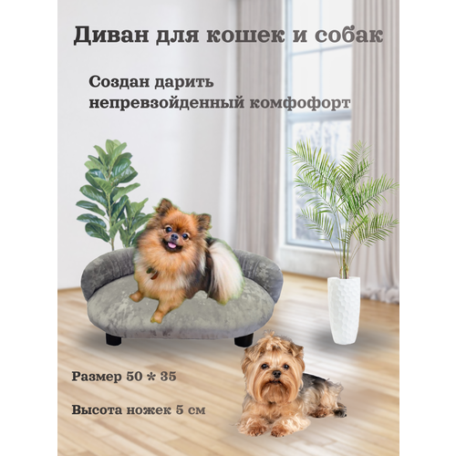 Лежанка, диван для кошек и собак, цвет серый, 50 см