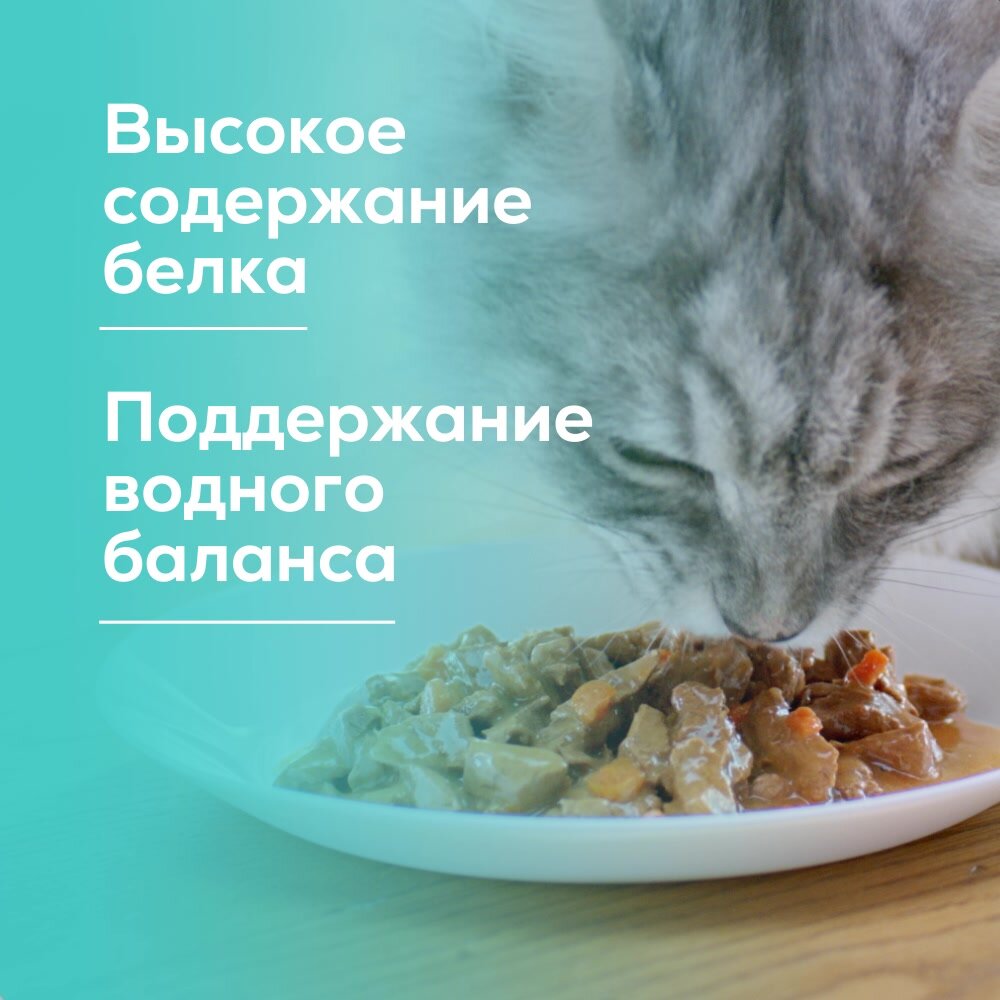 Влажный корм PURINA ONE® для стерилизованных кошек и кастрированных котов, с говядиной и морковью 75 г x 26 шт — фото 1