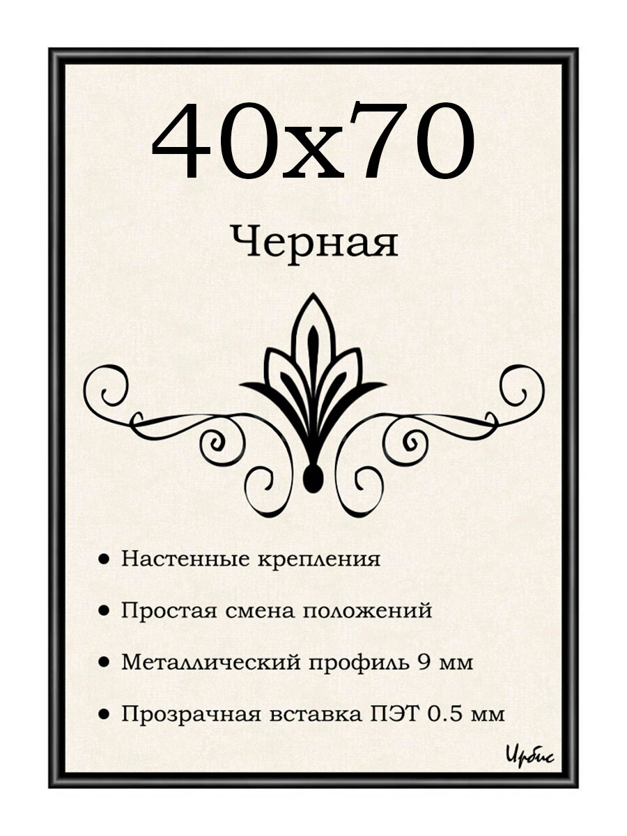 Фоторамка металлическая черная для постера картины фотографии 40х70 см