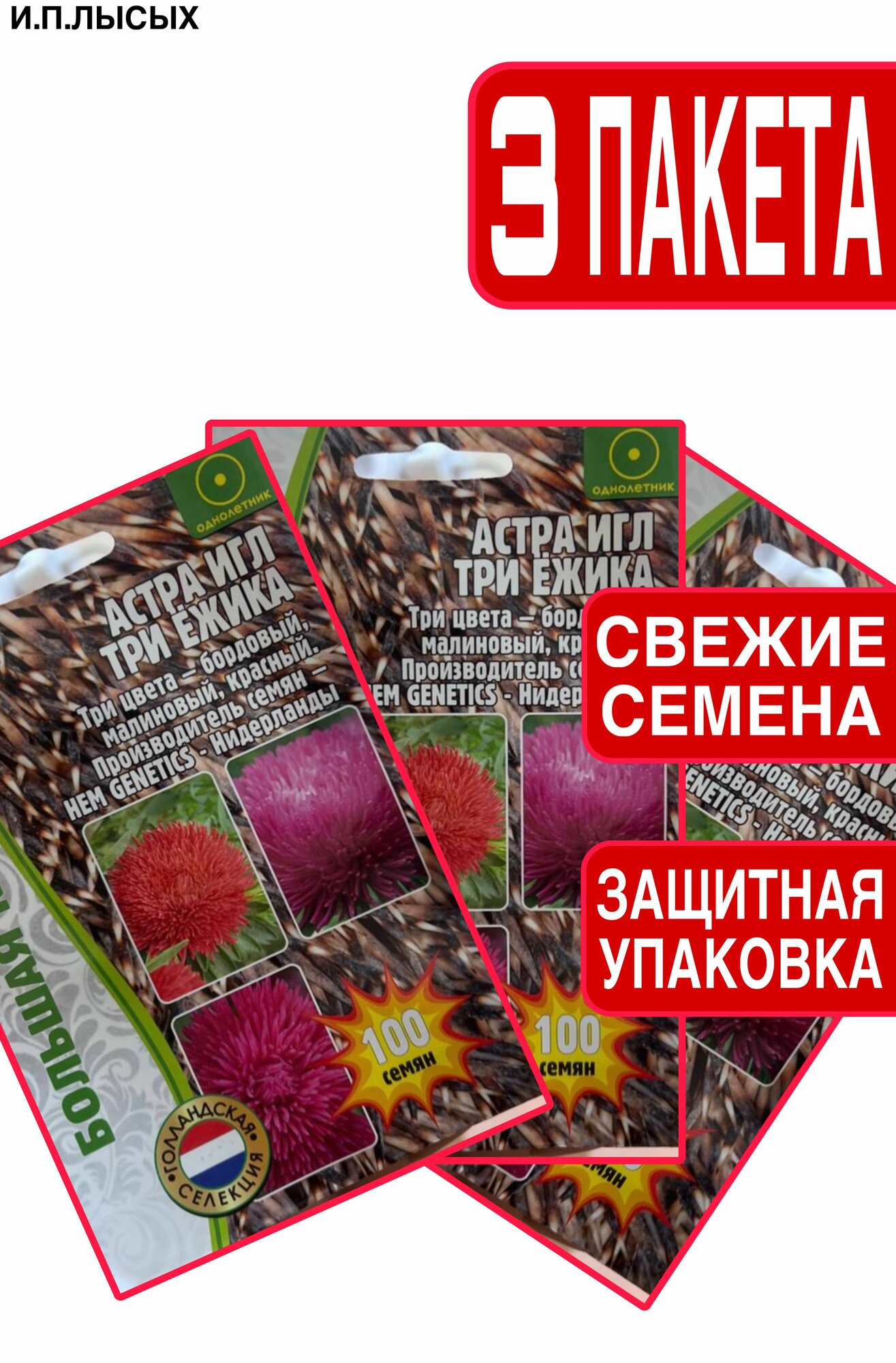 Семена Астра 