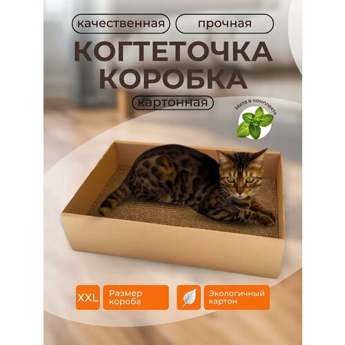 Когтеточка DLV Home коробка, большая картонная когтеточка коробка для кошки