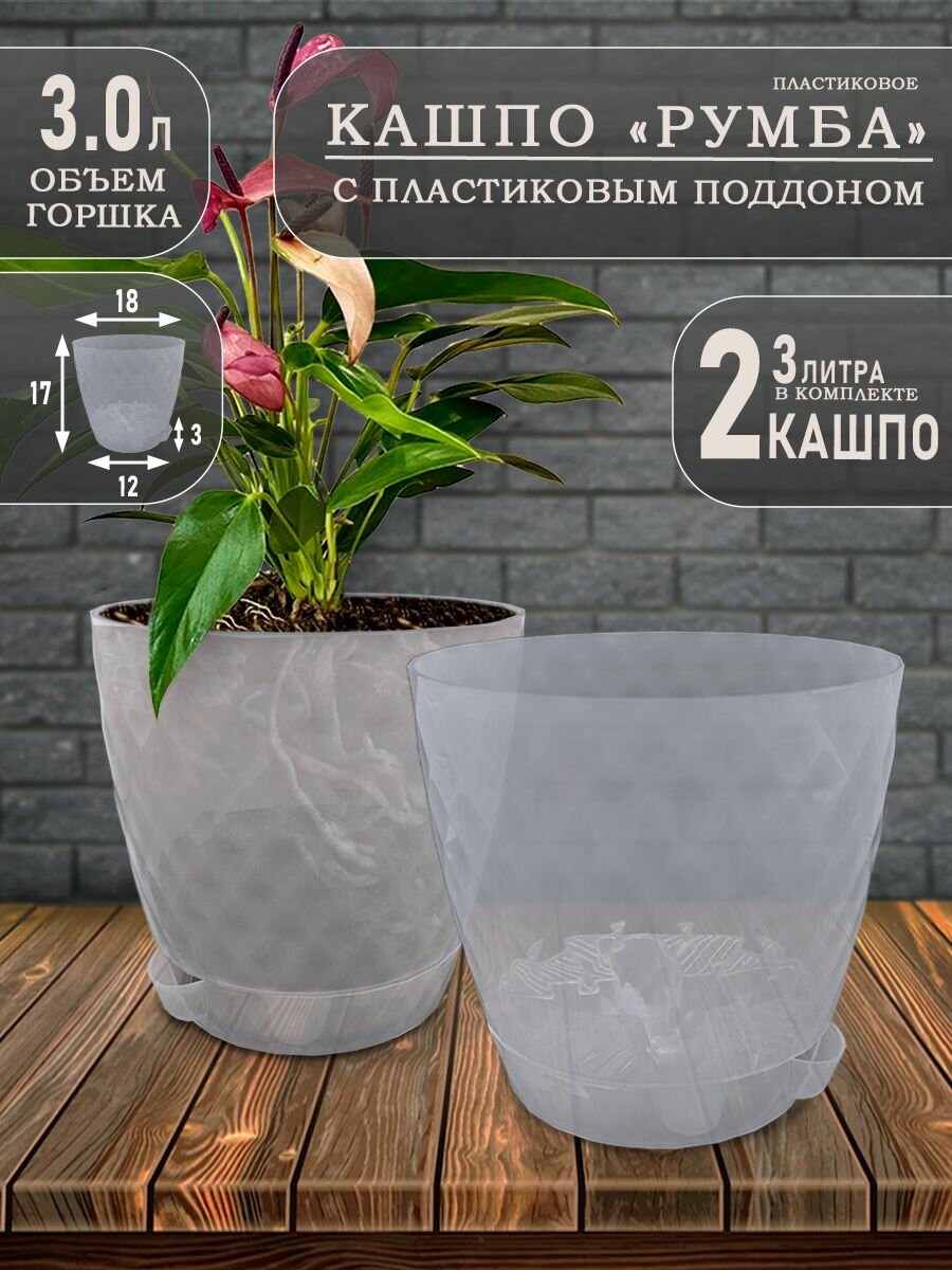Кашпо Румба для орихдеи 3 литр; Прозрачный; 2 шт