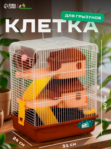 Изображение товара Клетка для грызунов "Пижон", двухэтажная с наполнением 31 х 24 х 40 см, коричневая