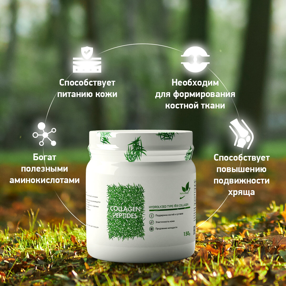 Изображение Коллаген говяжий NaturalSupp Для костей и суставов, эластичности кожи, молодости порошок 150 г