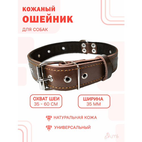 Кожаный ошейник (обхват шеи 35-60 см) для средней и крупной собаки / кожа - фетр