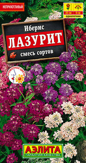 Иберис "Лазурит"