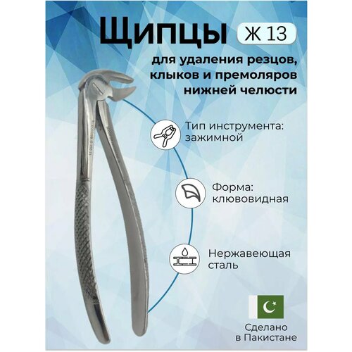 фото Щипцы для удаления резцов, клыков и премоляров нижней челюсти ж 13 surgicon