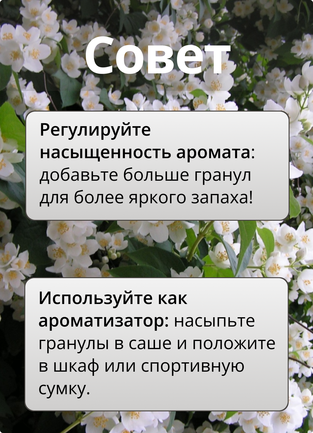 Кондиционер - ароматизатор для белья Lenor в гранулах Ruby Jasmine, рубиновый жасмин, 210 гр — фото 1