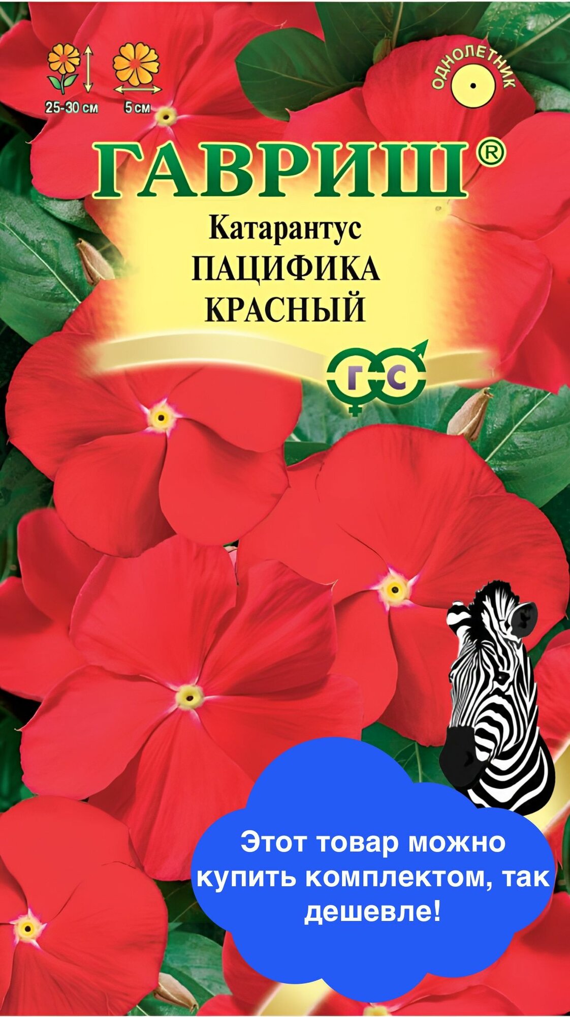 Цветы Катарантус Пацифика Красный
